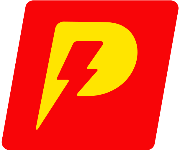 Favicon_ProtectPro.png
